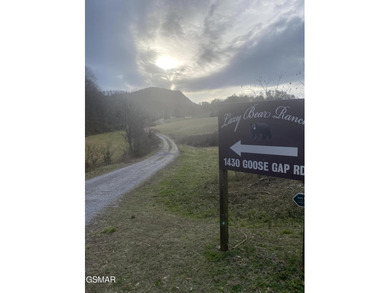 220 Acres of Pristine Mountain Farmland at the Base of Bluff - photo 7