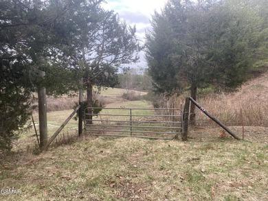 220 Acres of Pristine Mountain Farmland at the Base of Bluff - photo 8