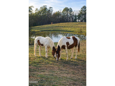 220 Acres of Pristine Mountain Farmland at the Base of Bluff - photo 9