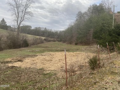 220 Acres of Pristine Mountain Farmland at the Base of Bluff - photo 10