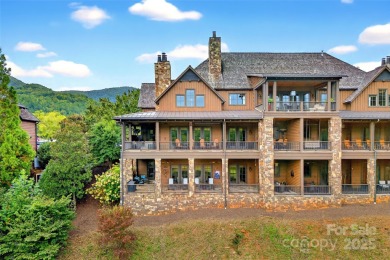 Lake Condo For Sale in Mill Spring, North Carolina