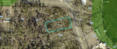 Lake Lot For Sale in Donalsonville, Georgia