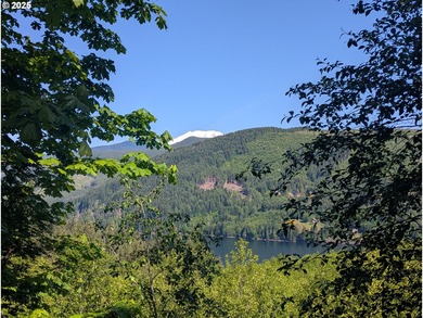 Swift Reservoir Acreage For Sale in Cougar Washington