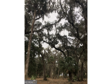 Rare Private Island Opportunity in Sanctuary Cove - Hogans - photo 25