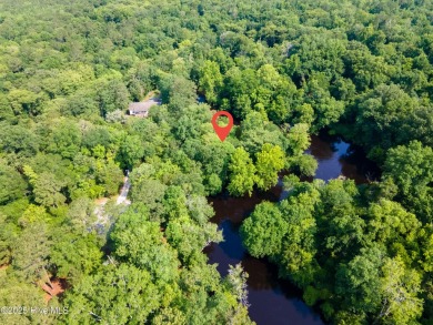 Lake Lot For Sale in Trenton, North Carolina