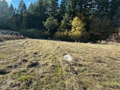 Lake Selmac Acreage For Sale in Selma Oregon