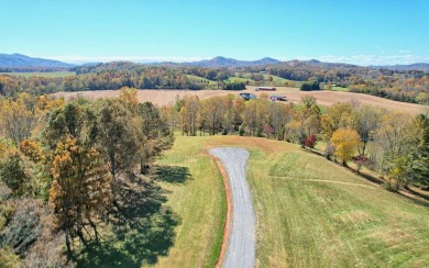 Lake Lot For Sale in Hayesville, North Carolina