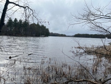 Lake Lot Sale Pending in Three Lakes, Wisconsin