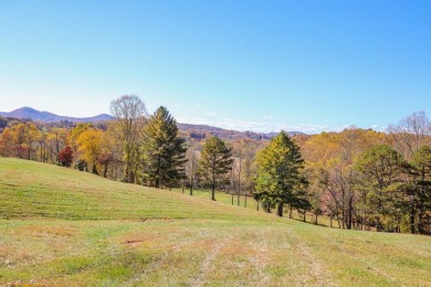 Lake Acreage For Sale in Hayesville, North Carolina