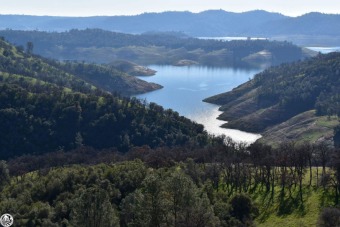 Lake Lot Off Market in Angels Camp, California