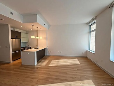 Welcome to Luxury Condo (not a co-op) 1D at 21-45 44th Drive - a - photo 2