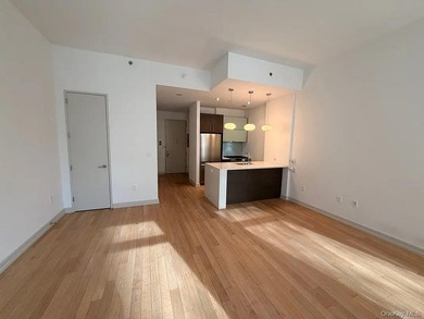 Welcome to Luxury Condo (not a co-op) 1D at 21-45 44th Drive - a - photo 3