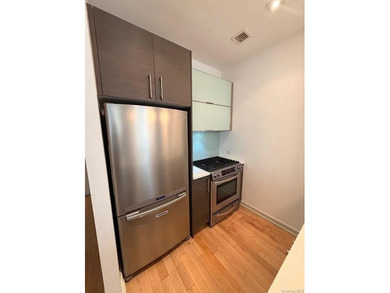 Welcome to Luxury Condo (not a co-op) 1D at 21-45 44th Drive - a - photo 7