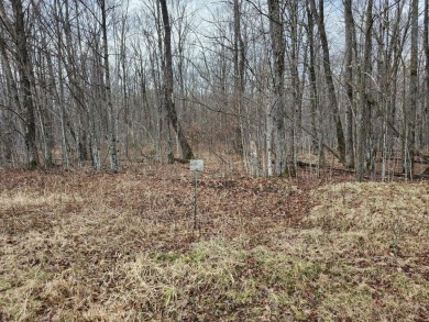 Lake Lot For Sale in Winter, Wisconsin
