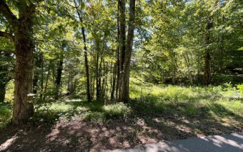 Lake Chatuge Lot For Sale in Hayesville North Carolina