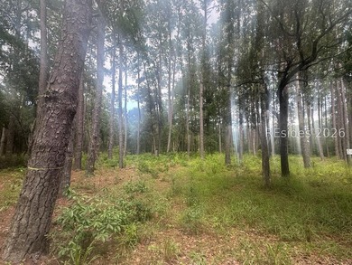 Build your dream home on this exceptional homesite at 330 School - photo 3