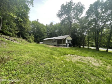 Lake Nancy Home For Sale in Middle Grove New York