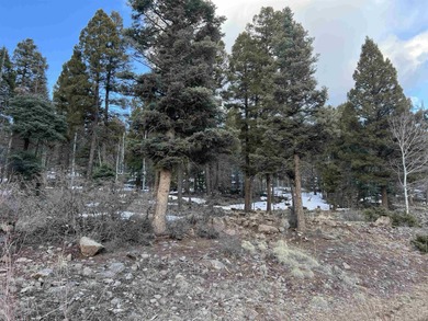 Monte Verde Lake Lot For Sale in Angel Fire New Mexico