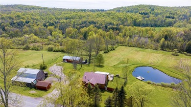 (private lake, pond, coastal) Home Sale Pending in Norwich New York
