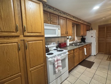 Charming Updated Cottage Near Houghton Lake. This very nicely - photo 17