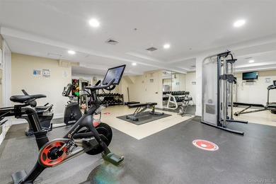 Penthouse living done right at Novo 64 in Forest Hills. This - photo 22