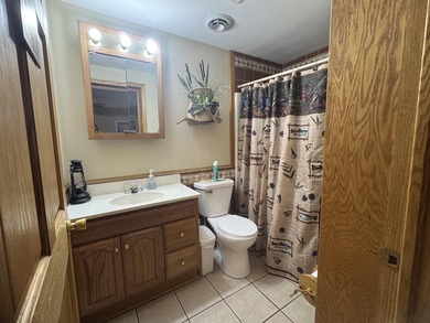Charming Updated Cottage Near Houghton Lake. This very nicely - photo 22