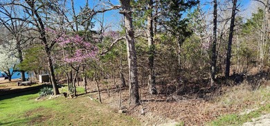 Lake Chanute Lot For Sale in Cherokee Village Arkansas