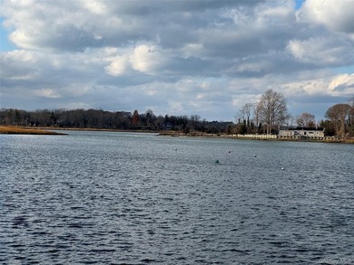 Setauket Harbor Neighborhood~ Welcome to 22 Braemer Road, an - photo 45