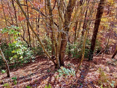 Nottely River Lot For Sale in Blairsville Georgia