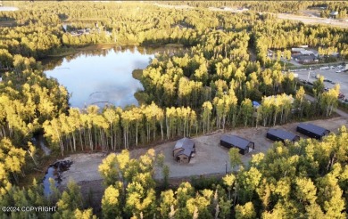 Lake Home For Sale in Wasilla, Alaska