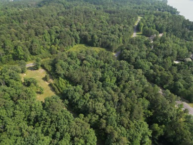 Nearly Two Acres of Beautiful Hardwoods Located in The Charming - photo 13