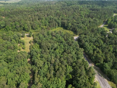 Nearly Two Acres of Beautiful Hardwoods Located in The Charming - photo 14