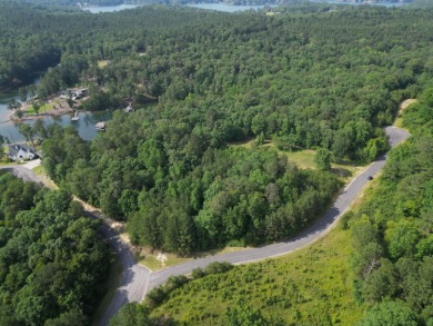 Nearly Two Acres of Beautiful Hardwoods Located in The Charming - photo 18