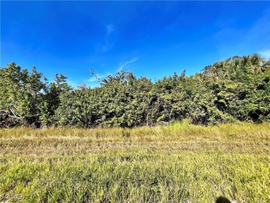 Port Charlotte Waterway Lakes Area Lot For Sale in Port Charlotte Florida