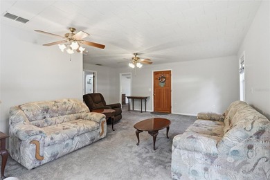 WATERFRONT OPPORTUNITY ON CANAL TO LAKE PANASOFFKEE - FULLY - photo 6