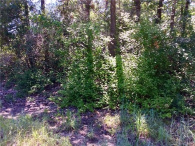 Somerville Lake Lot For Sale in Somerville Texas