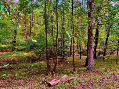 (private lake, pond, creek) Lot For Sale in Ellijay Georgia