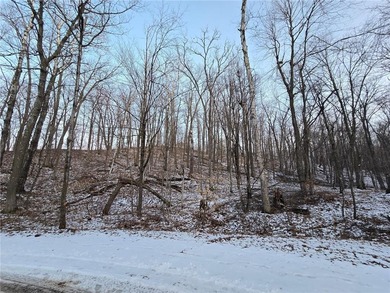 Mille Lacs Lake Lot For Sale in Garrison Minnesota