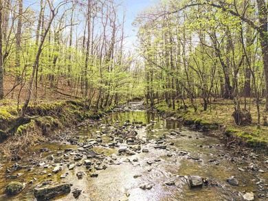 Check out this 20-acre equestrian estate! The property features - photo 5
