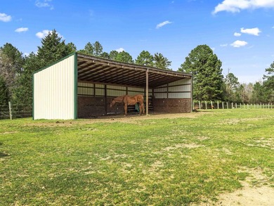Check out this 20-acre equestrian estate! The property features - photo 8