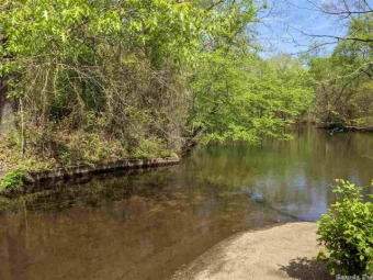 Beautiful wooded and secluded lot at the base of Sugarloaf - photo 4