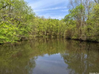 Beautiful wooded and secluded lot at the base of Sugarloaf - photo 6