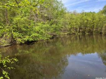 Beautiful wooded and secluded lot at the base of Sugarloaf - photo 5