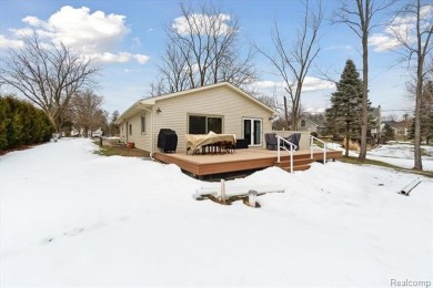 Lake Home For Sale in Linden, Michigan