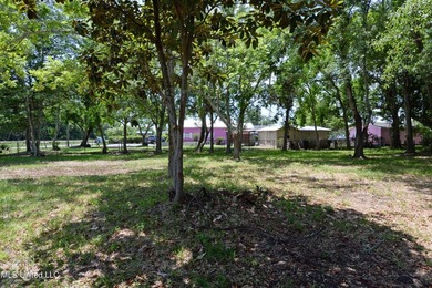 Explore the possibilities with this 1/2 acre acre commercial lot - photo 13