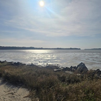 Very attractive lot located in Pine Meadows priced to sell! The - photo 14