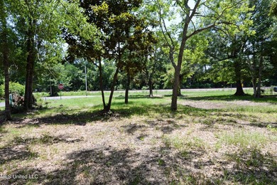 Explore the possibilities with this 1/2 acre acre commercial lot - photo 15