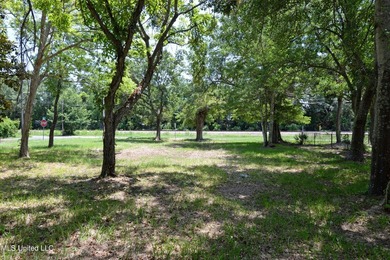 Explore the possibilities with this 1/2 acre acre commercial lot - photo 16
