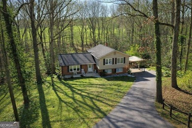 Lake Home For Sale in Oakwood, Georgia