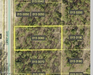 Lehigh Acres Area Lot For Sale in Lehigh Acres Florida